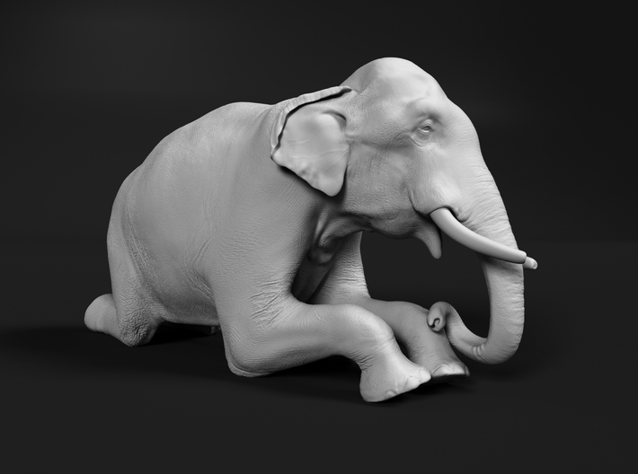 Indian Elephant 1:22 Kneeling Male 3d printed 