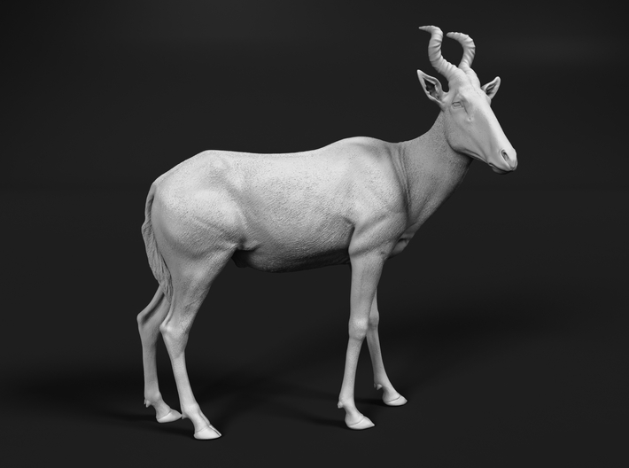 Red Hartebeest 1:87 Standing Male 3d printed