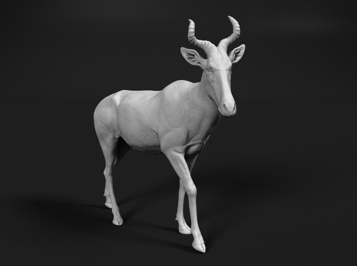 miniNature's 3D printing animals - Update May 20: Finally Hyenas and more - Page 12 710x528_27569042_14913860_1557610561