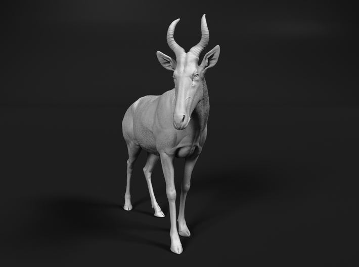 miniNature's 3D printing animals - Update May 20: Finally Hyenas and more - Page 12 710x528_27573907_14916638_1557659969