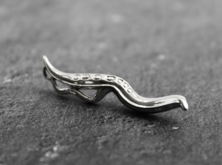 C. elegans Nematode Worm Lapel Pin/Brooch 3d printed Caenorhabditis lapel pin/brooch in polished silver