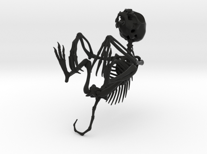 Chupacabra Skeleton 3d printed