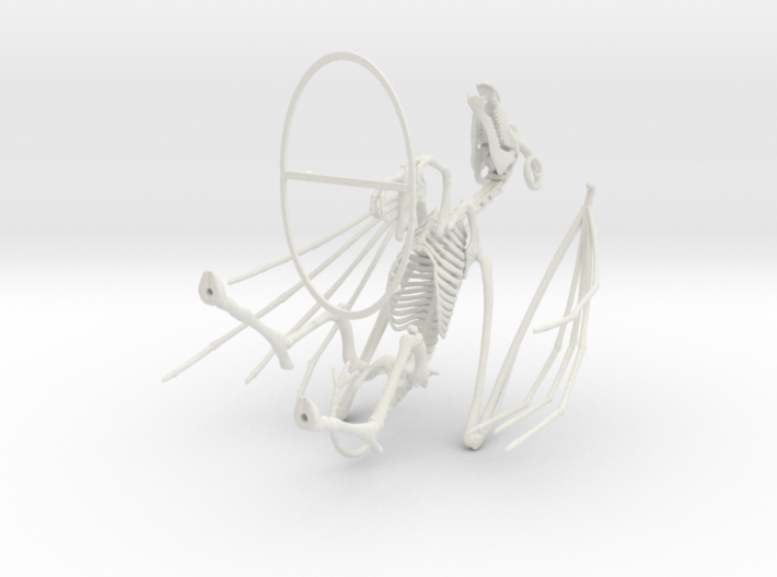 Jersey Devil Skeleton 3d printed 