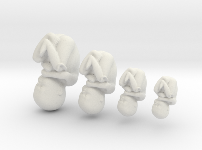 Human Baby Growing Illustration (1:1 scale) 3d printed