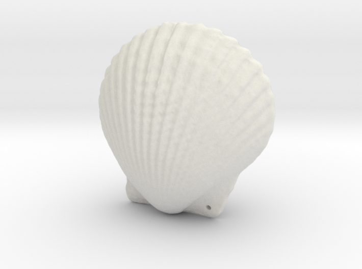 Small Seashell Pendant Closed 3d printed
