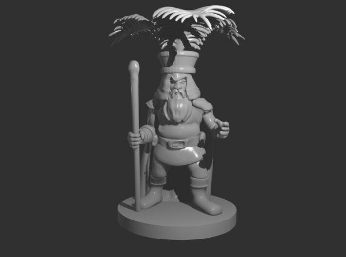 Dwarf Druid with Fern Headdress 3d printed