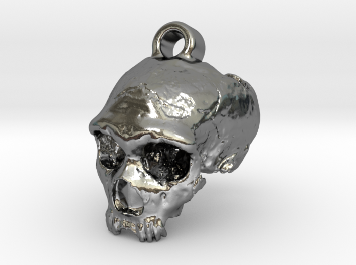 Neanderthal skull 3d printed