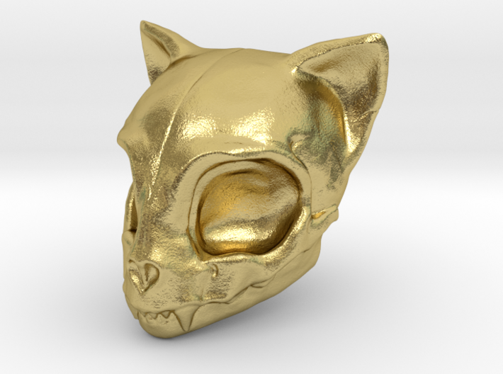 Cat Skull 3d printed