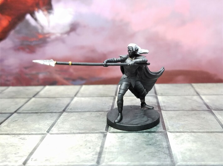 Drow Inquisitor 3d printed