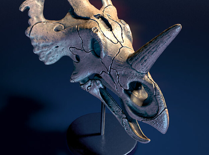 Styracosaurus skull - dinosaur model 3d printed 3D render