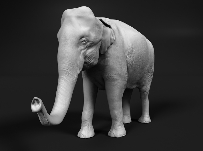 Indian Elephant 1:87 Standing Female 2 3d printed 