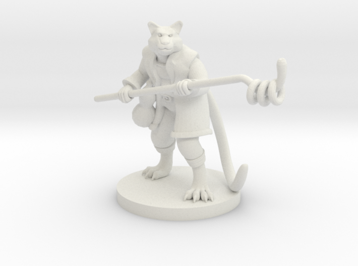 Tubby Tabaxi Male Monk 3d printed 