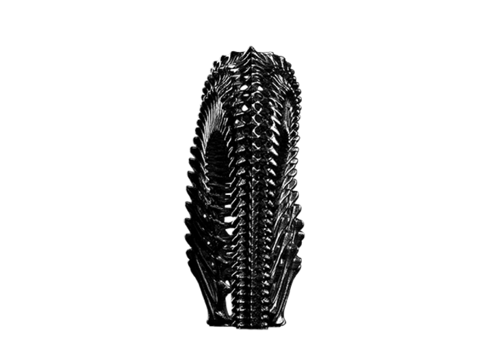 Seahorse Shoes Women's US Size 13 3d printed 