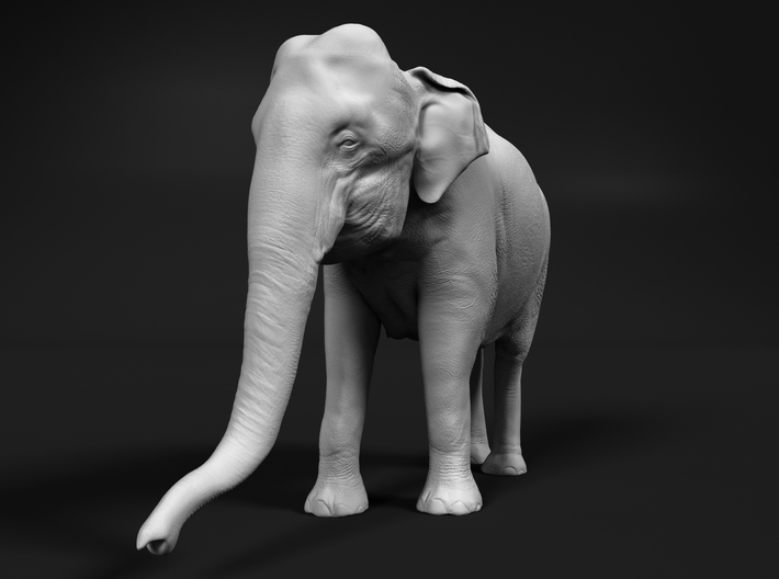 Indian Elephant 1:160 Standing Female 1 3d printed