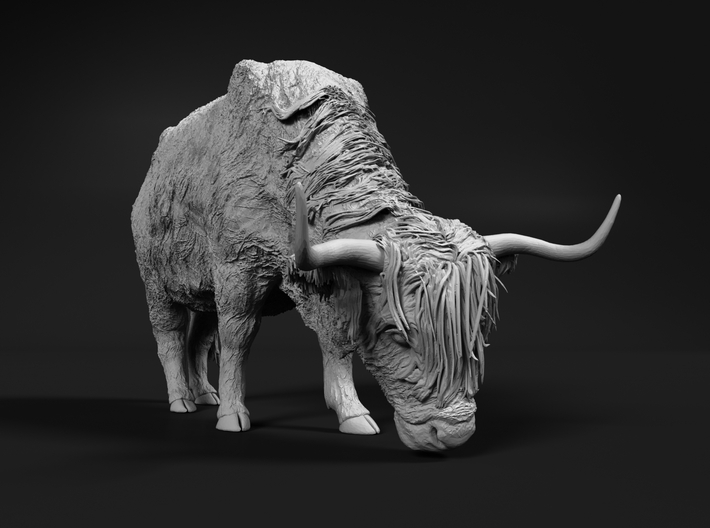 Highland Cattle 1:9 Grazing Female 1 3d printed 