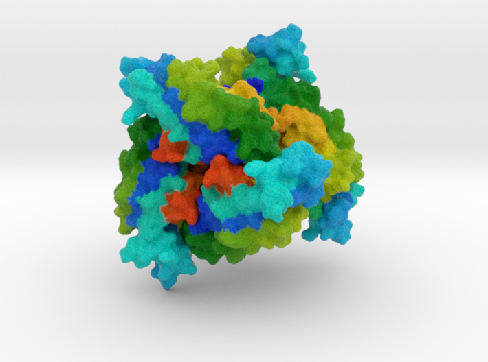 6-Pyruvoyl Tetrahydropterin Synthase 3d printed