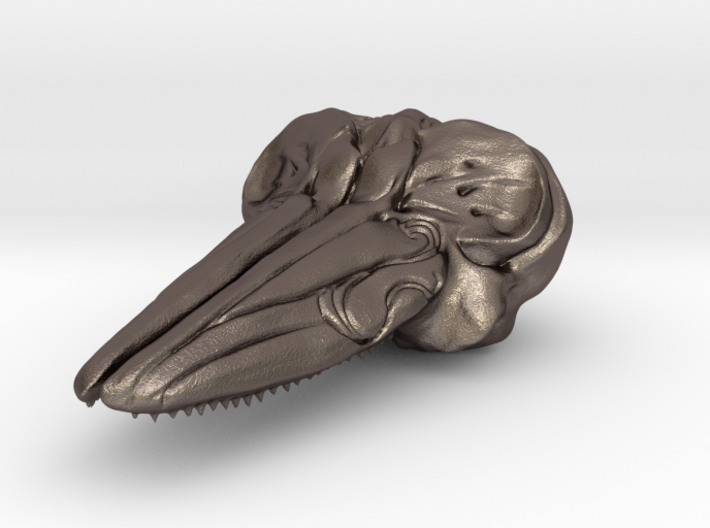 Hector's Dolphin Skull Pendant 3d printed