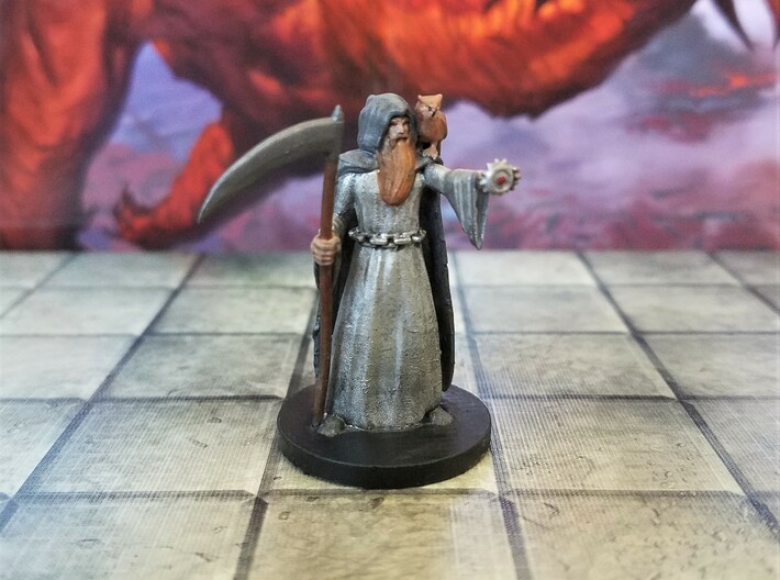 Human Death Cleric with Owl Familiar 3d printed