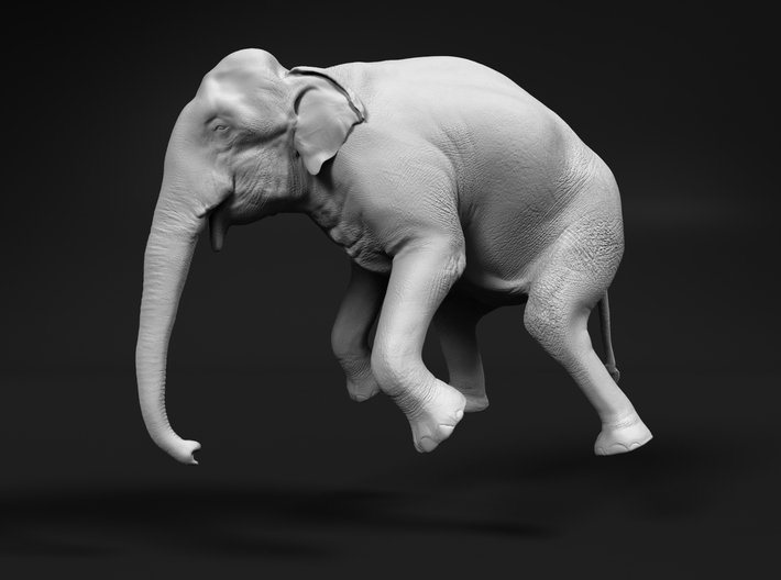 Indian Elephant 1:87 Female Hanging in Crane 3d printed 