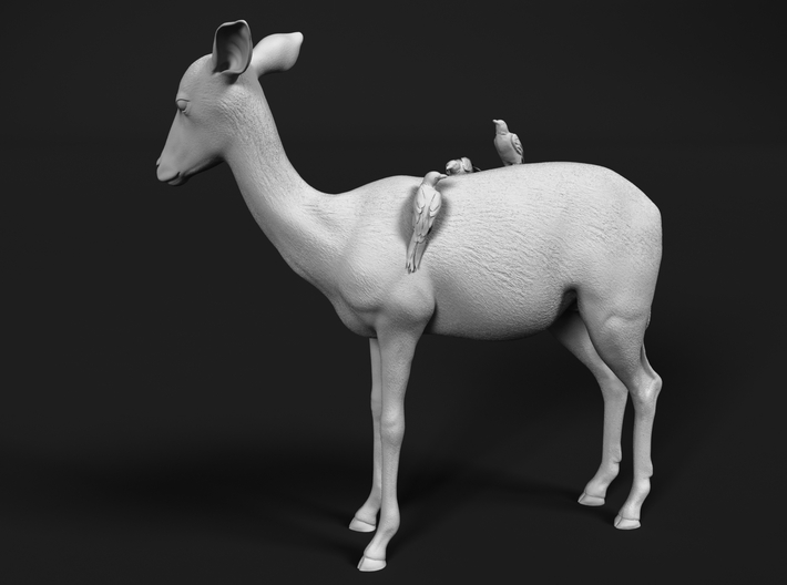 Impala 1:160 Female with Red-Billed Oxpeckers 3d printed 