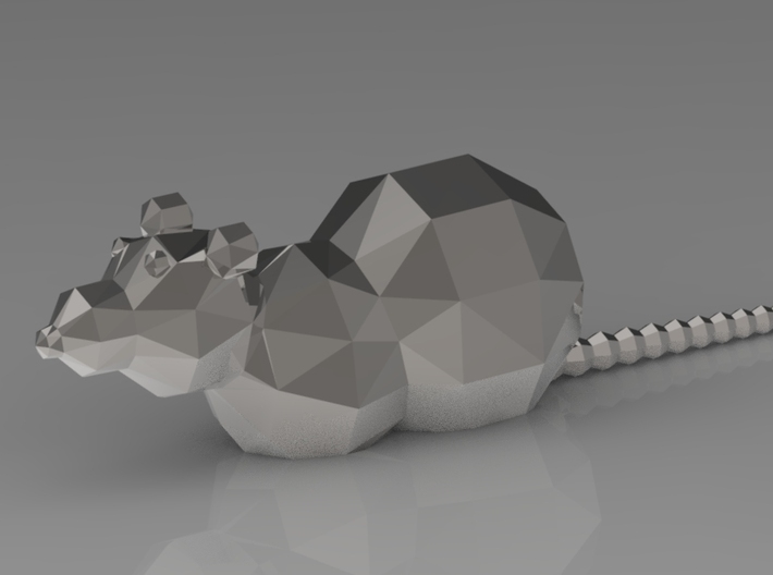Polygonal Rat 3d printed 