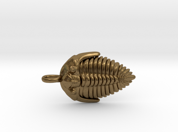 Trilobite Fossil Necklace 3d printed