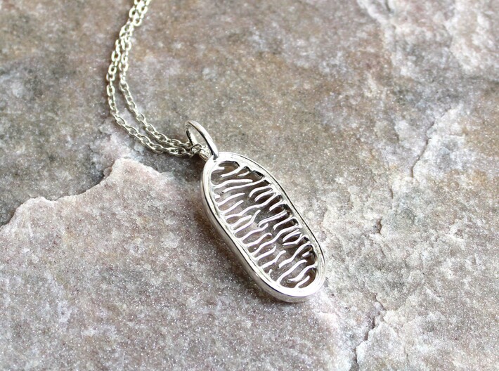 Mitochondrion Pendant 3d printed Mitochondrion Pendant in polished silver