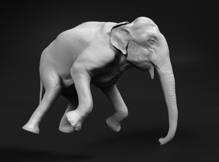 Indian Elephant 1:96 Female Hanging in Crane 3d printed