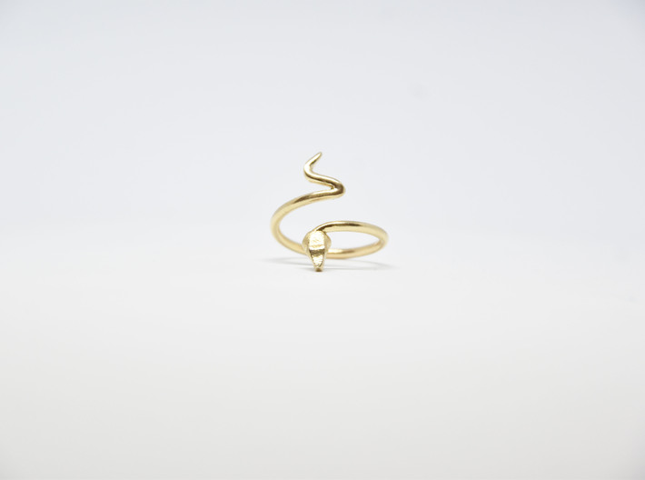 Snake Ring 3d printed 
