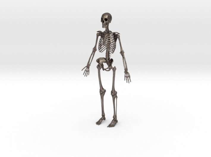 Human Skeleton -1:6 scale (30 cm) 3d printed