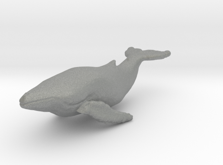 N Scale whale 3d printed This is a render not a picture