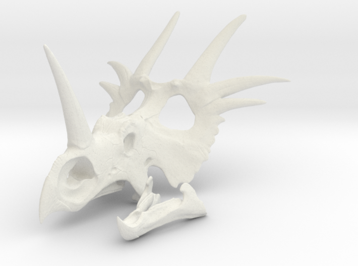 Styracosaurus Skull- 1/18th scale replica 3d printed 