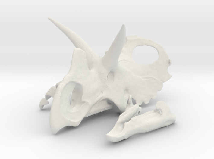 Wendiceratops Skull 3d printed 