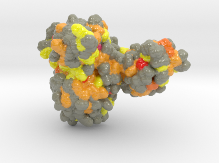COVID_19_nsp12_Helicase 3d printed