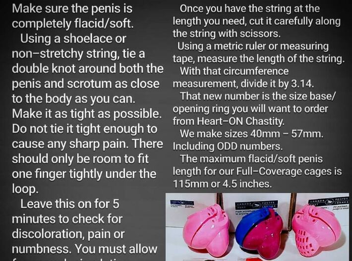 43mm BACK for Heart-ON Chastity's Contained and Ca 3d printed How to choose your size