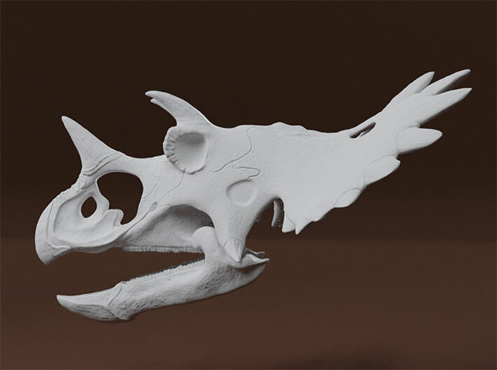 Regaliceratops Skull 3d printed 