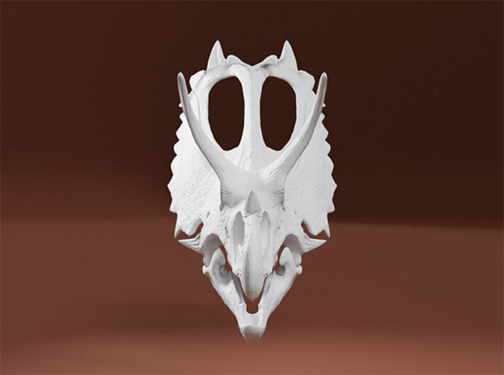 Pentaceratops Skull 3d printed 