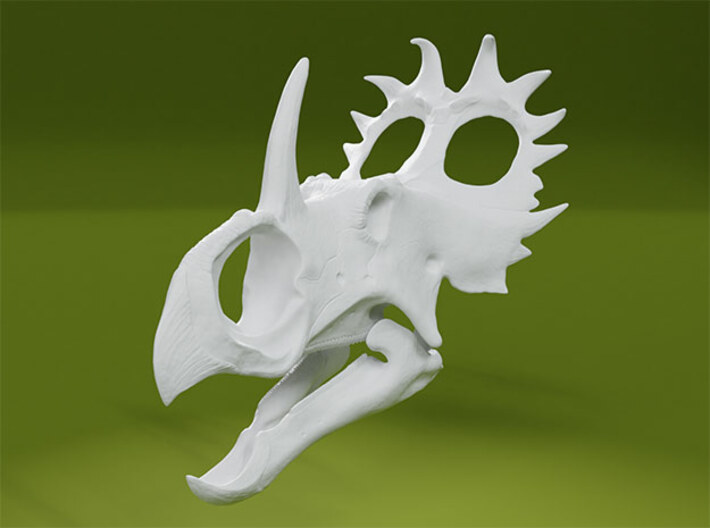 Sinoceratops Skull 3d printed