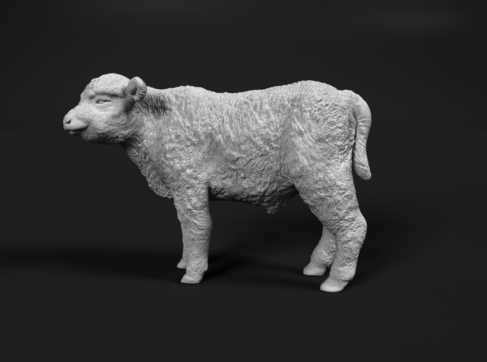 Highland Cattle 1:12 Standing Calf 3d printed