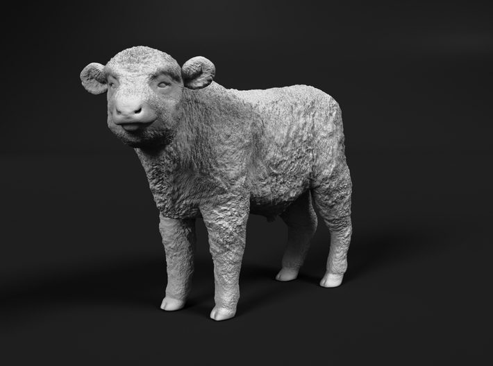 Highland Cattle 1:9 Standing Calf 3d printed 