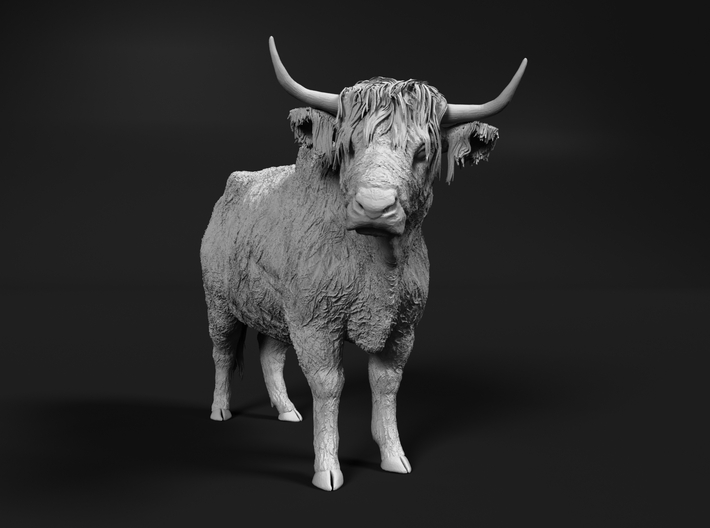 Highland Cattle 1:12 Standing Female 3d printed