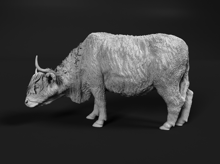 Highland Cattle 1:87 Female with the head down 3d printed 