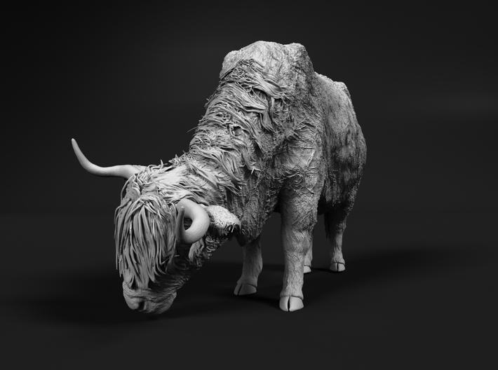 Highland Cattle 1:48 Grazing Female 2 3d printed 