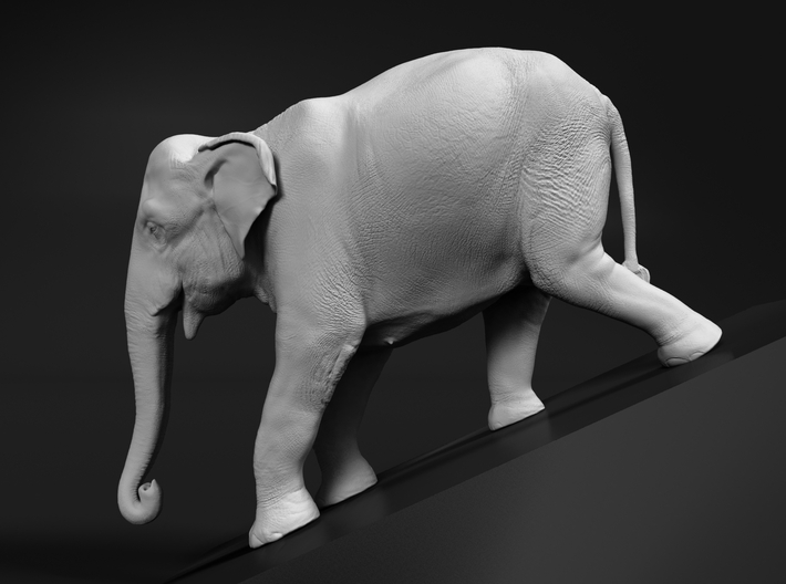 Indian Elephant 1:96 Female descends slope 3d printed 