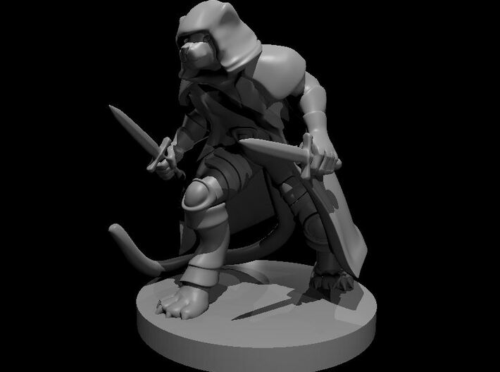 Tabaxi Female Rogue 3d printed