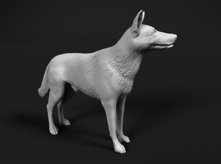 Saarloos Wolfdog 1:20 Standing Male 3d printed 