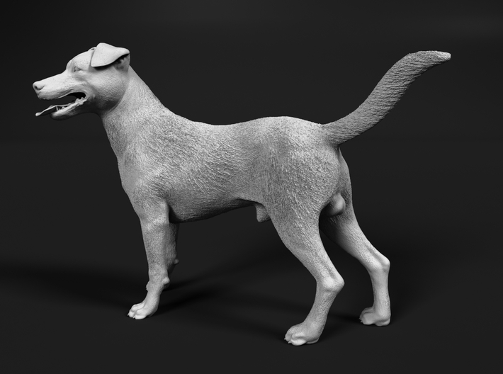 Jack Russell Terrier 1:25 Standing Male 3d printed