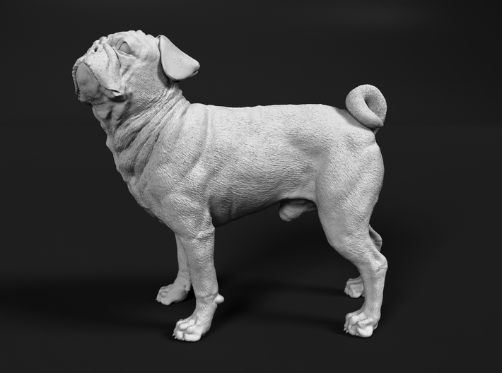 Pug 1:87 Standing Male 3d printed