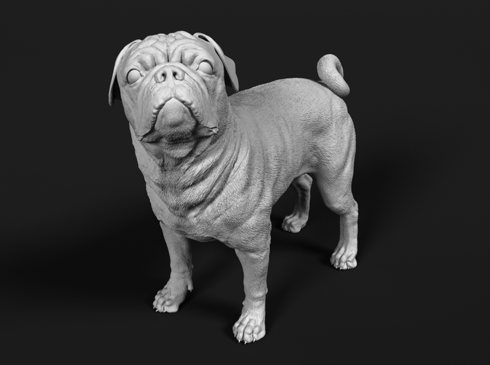 Pug 1:72 Standing Male 3d printed