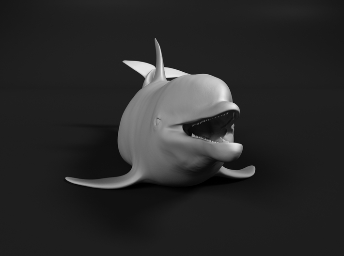 Bottlenose Dolphin 1:45 Out of the water 1 3d printed 